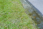 Can Pool Removal Improve Drainage Problems in Michigan Yards?